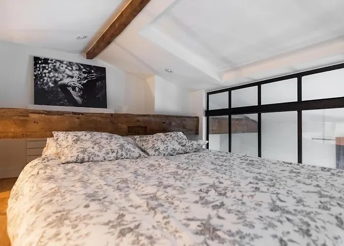 Appartement Type Loft - 40M² Marais